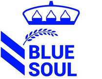 Logo de Blue Soul